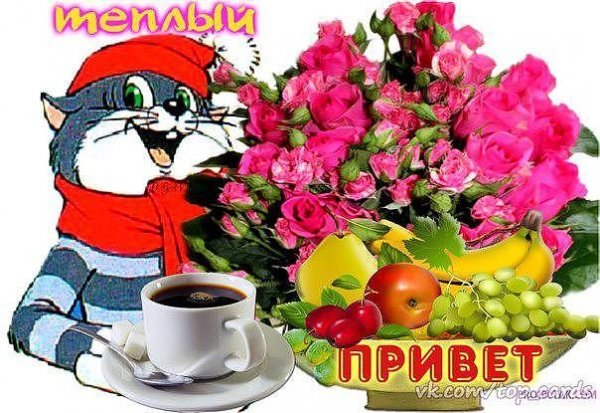 Привет Леночка