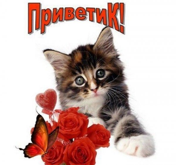 Привет Ольга