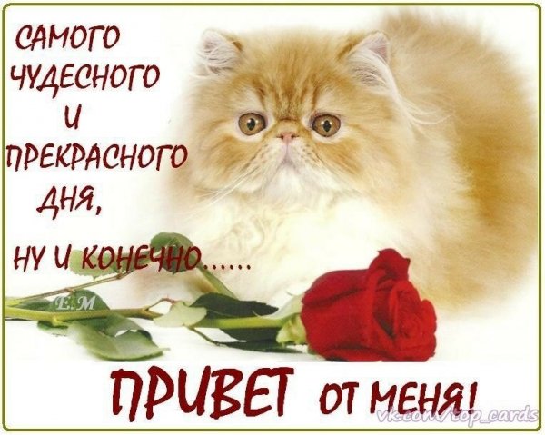 Привет Валера