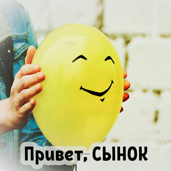 Приветствие Ёжика