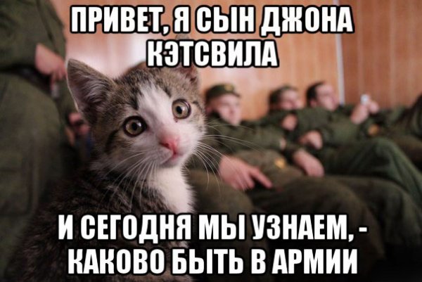 Привет девочки