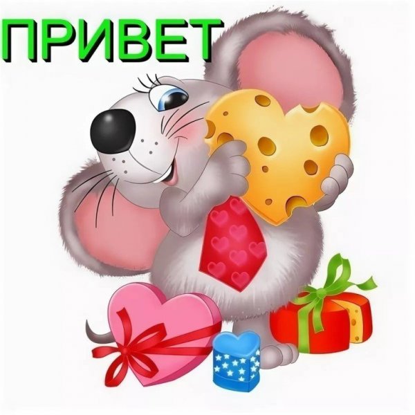 Привет мышка