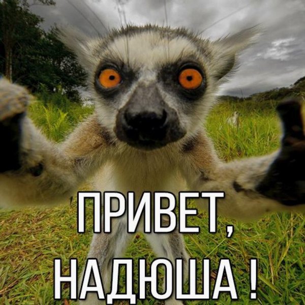 Привет Надюша
