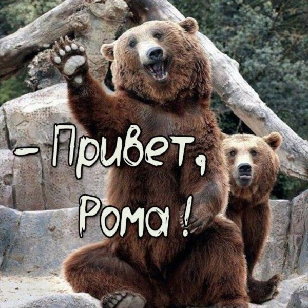 Рома привет картинки
