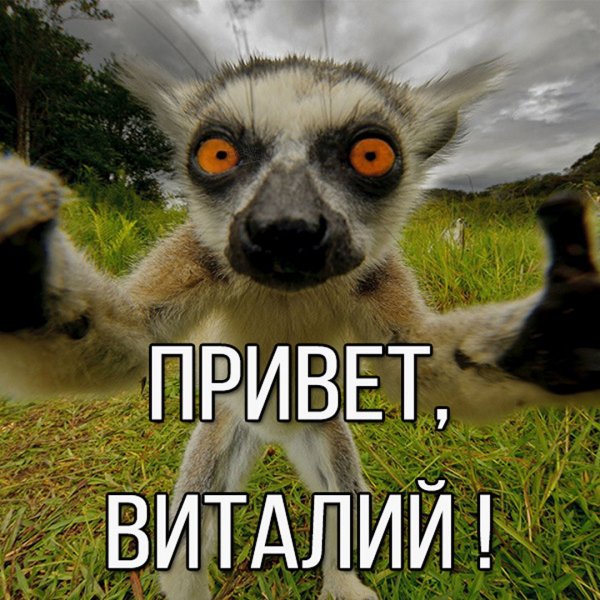 Я Виталик Мем