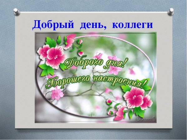Хорошего дня коллеги