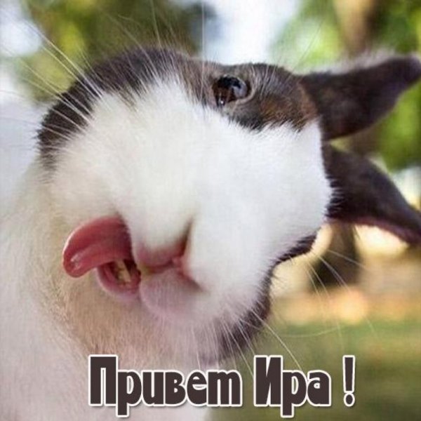 Картинки привет Иринка как дела