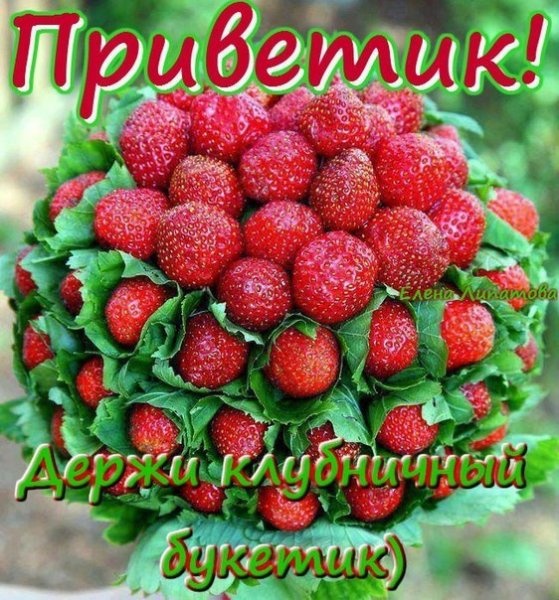 Привет Натали