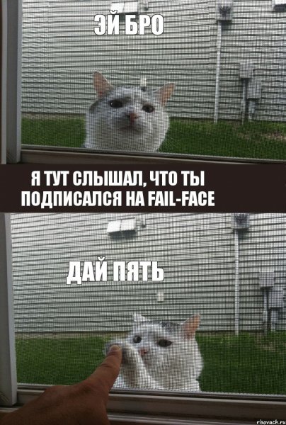 Привет бро картинки