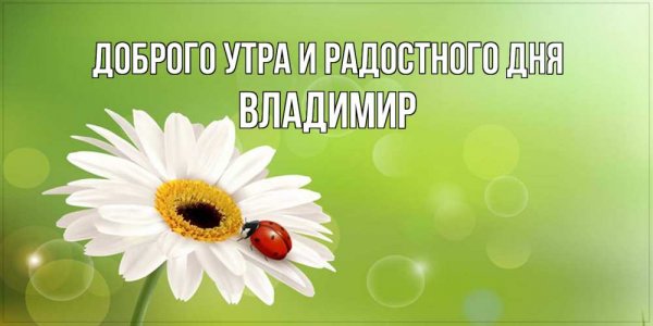 Доброе утро Тимофей