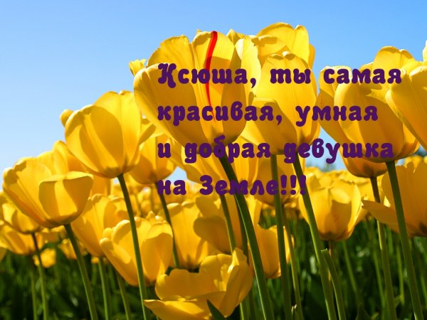 Цветы для Ксюши
