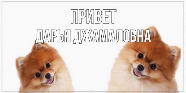 Привет Даша