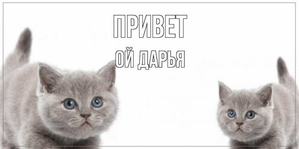 Люблю тебя Дашулька