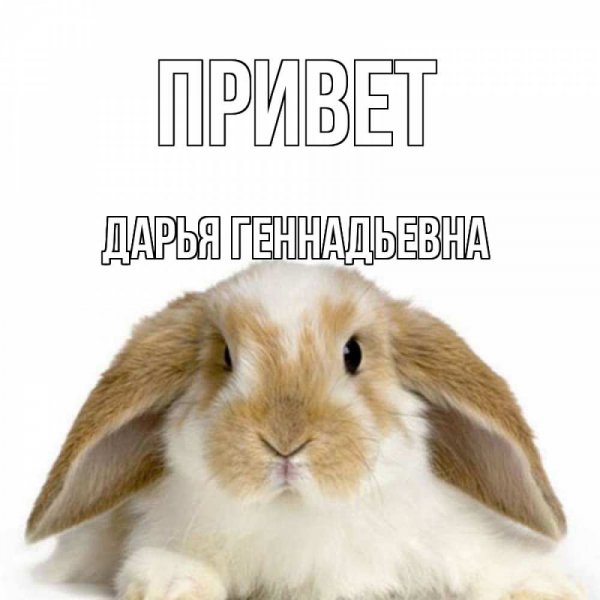 Hello Дарья