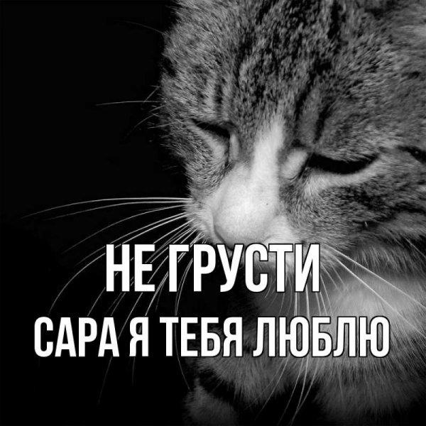 Мой сладкий
