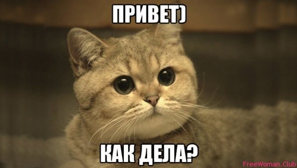 Грустный привет