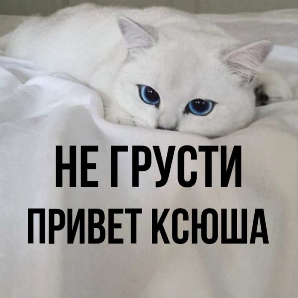 Открытки мне скучно и грустно