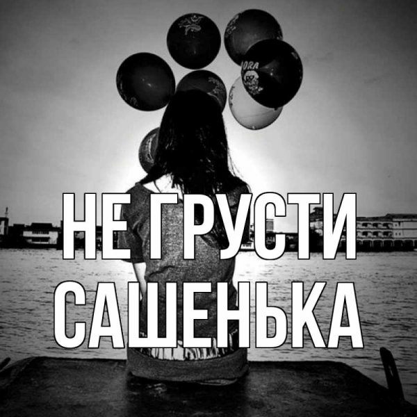 Скучающий кот