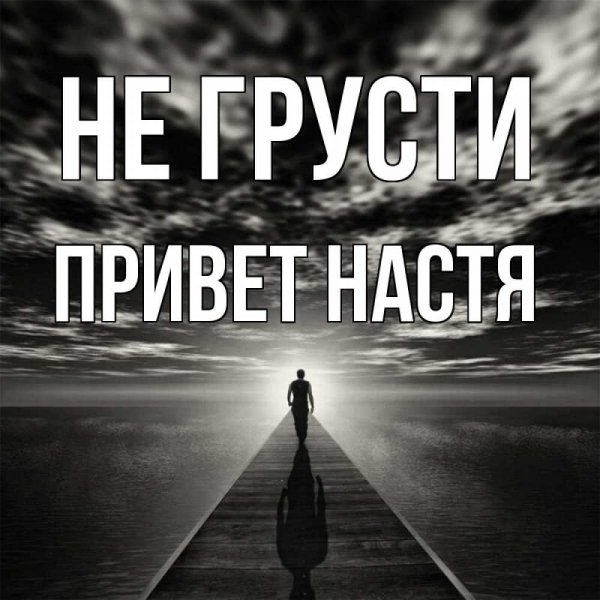 Кот на окне осень
