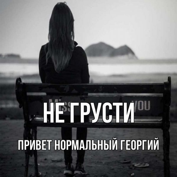 Кот и дождь фото Япония