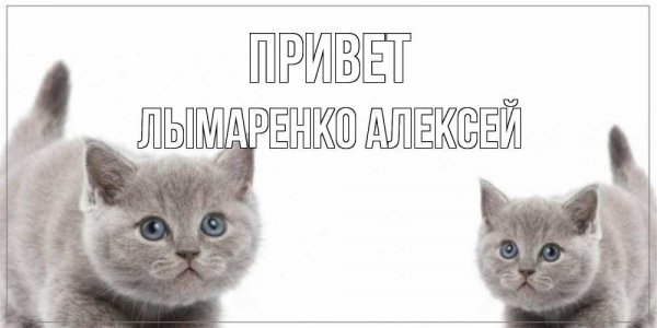 Черный Властелин Павел