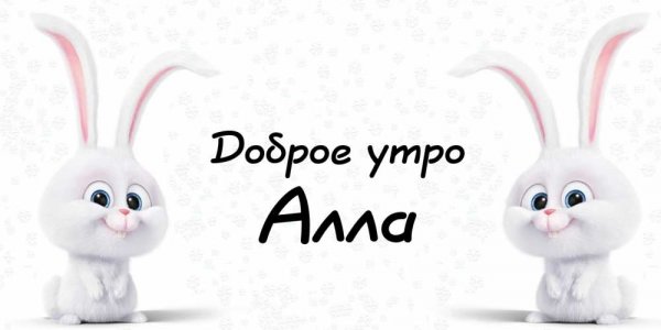 Доброе утро Аллочка