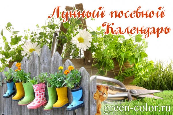 Доброе утро огородники