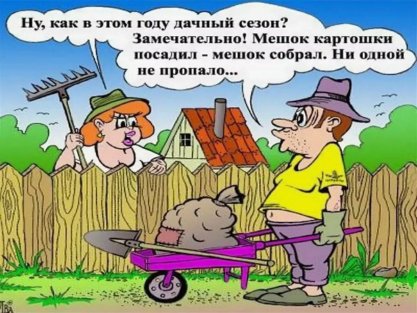 С началом дачного сезона