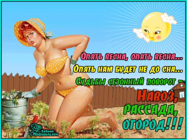 Стихи про дачу прикольные