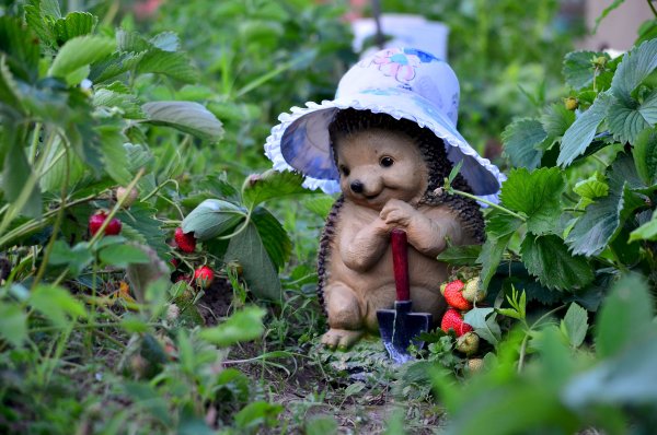 Смешной Садовод