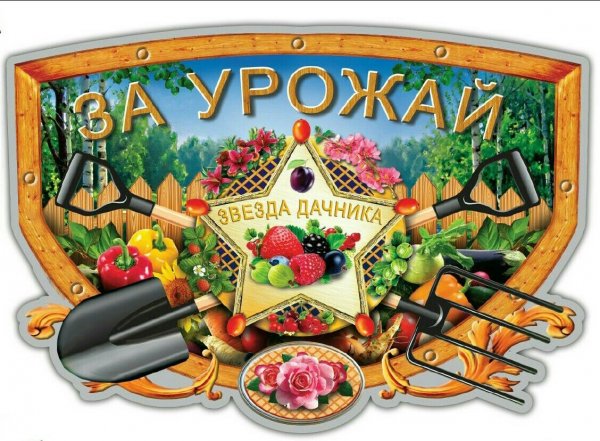 День дачника открытки