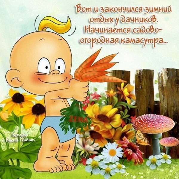 Открытки с началом дачного сезона