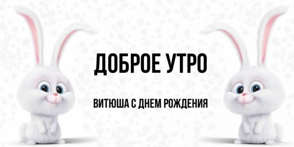 Шта голубь Мем