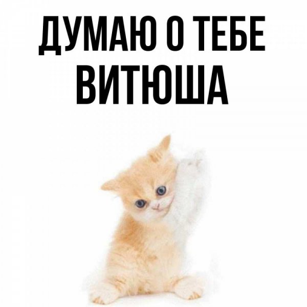 Стих про Витю