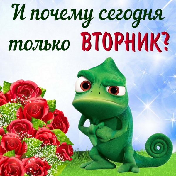 Привет обезьянка