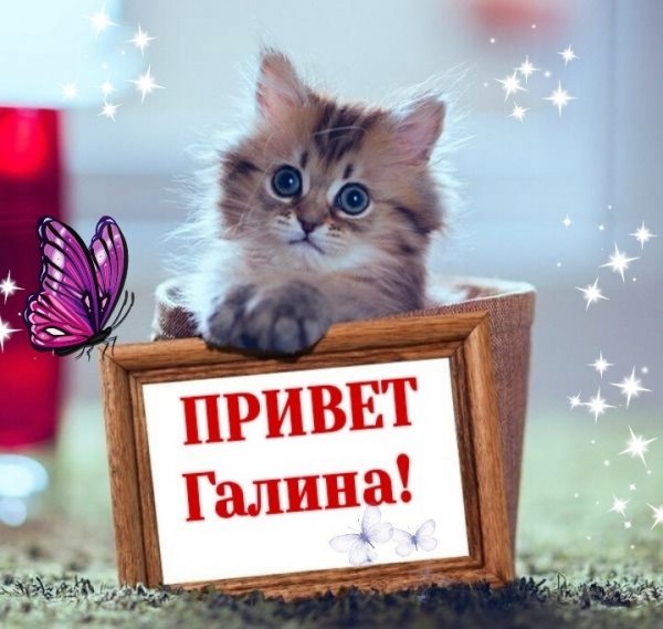 Как дела солнышко