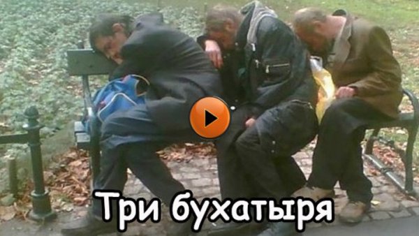 Алкаш сомелье