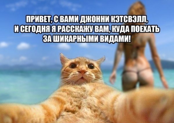 Открытка путешественнику