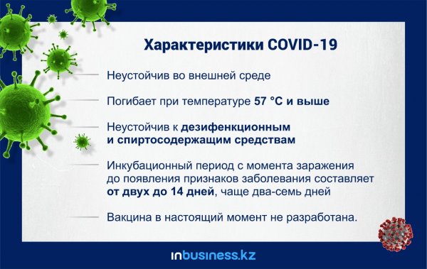 Коронавирус основные положения