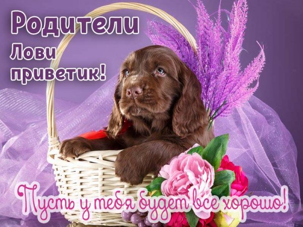 Хорошего дня прикольные