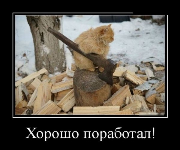 Стихи про дрова
