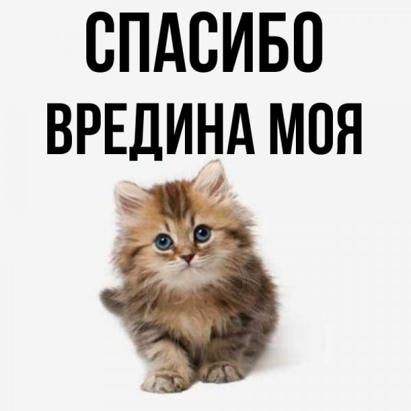Надпись прелесть