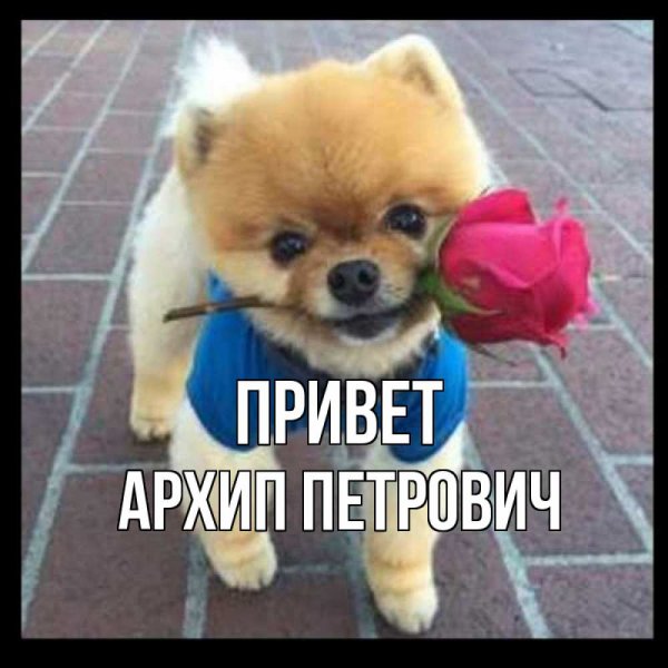 Николай Петрович Воронин Люся