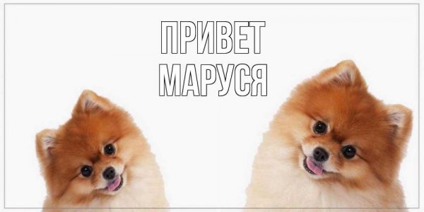 Красивые цветы для Марии