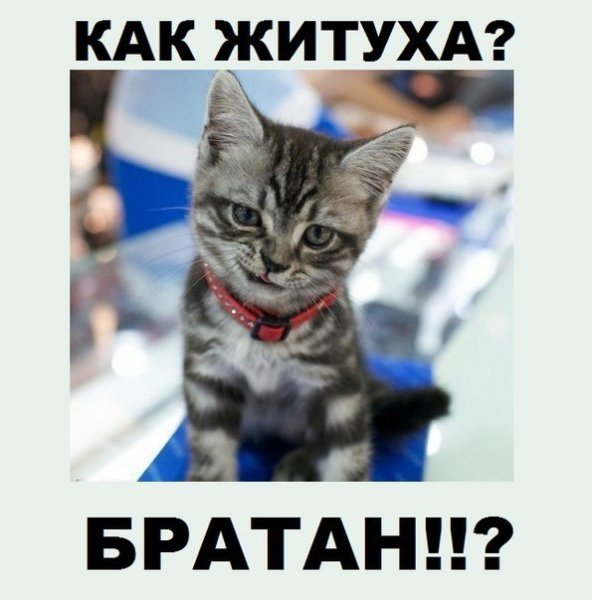 Привет братан
