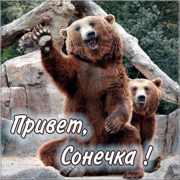 Черный Властелин Никита