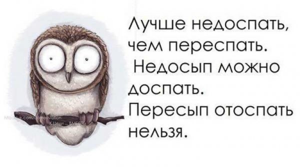 Бессонница приколы