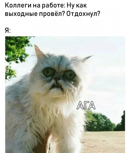 Мемы про отсутствие сна