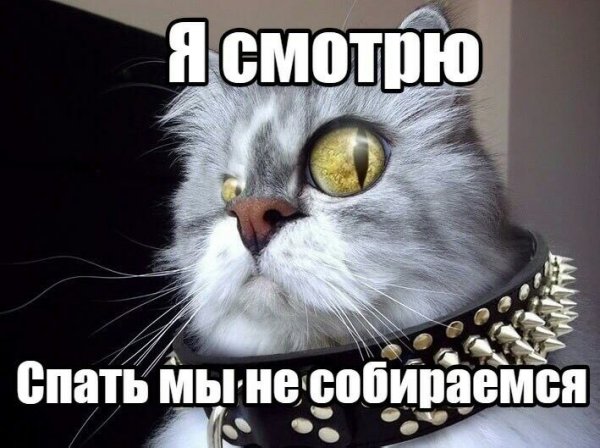 Ты спать собираешься картинка