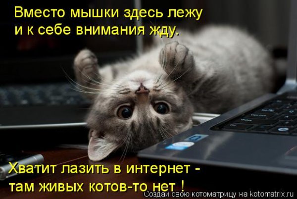 Приколы про интернет